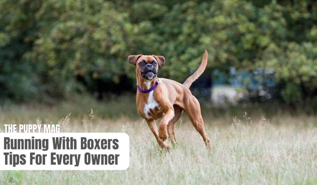 running with boxers