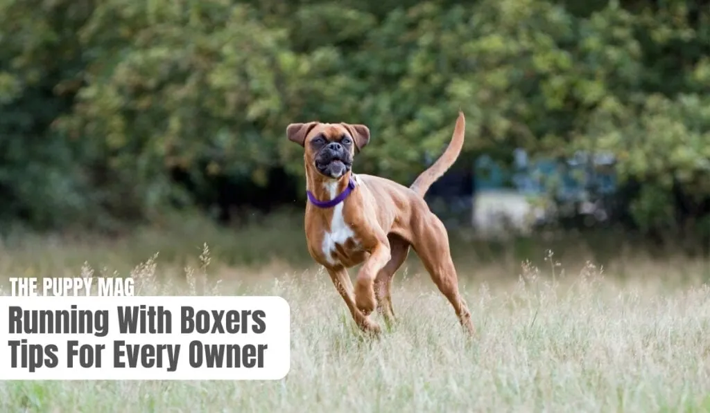 running with boxers