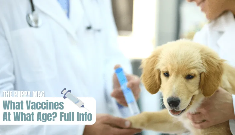 puppy-vaccine