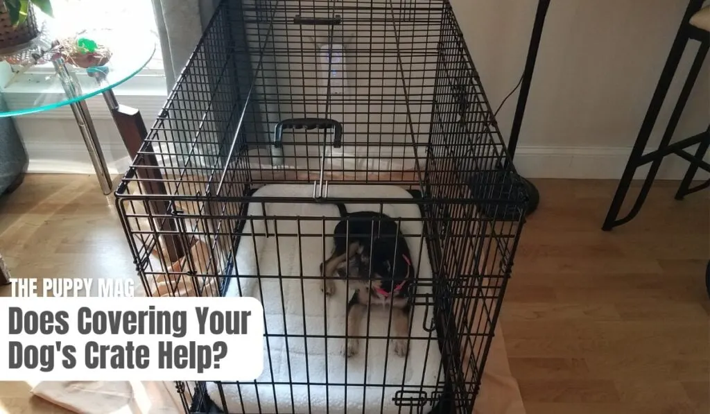 cover dog crate