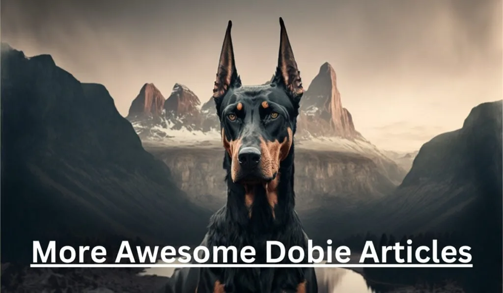 doberman articles