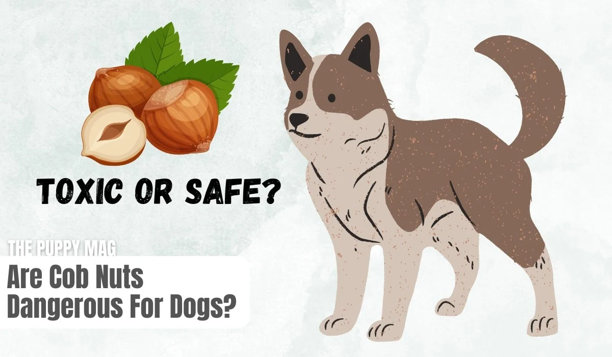 are cob nuts dangerous to dogs