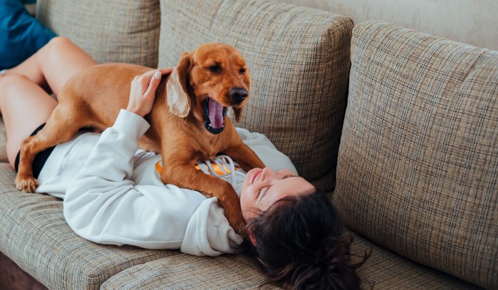dog yawning with owner